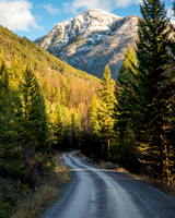 Swan Valley