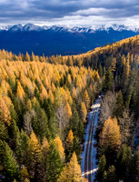 Swan Valley