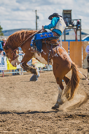 Miles City Bucking Horse Sale
