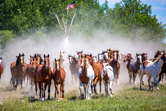 Little Bighorn Reenactment