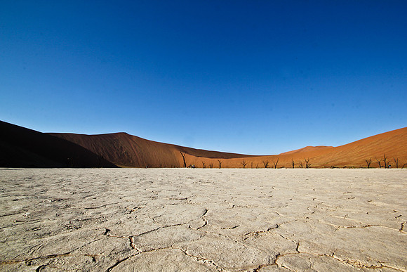 Dead Vlei in Sossusvlei, Namibia
