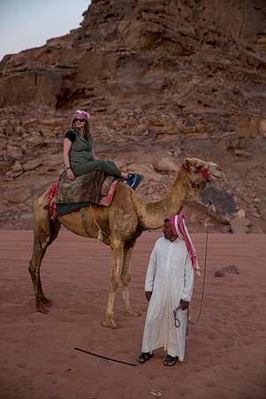 Camel Rides in Wadi Rum