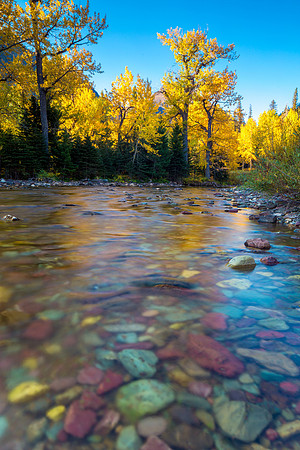 Two Medicine Creek