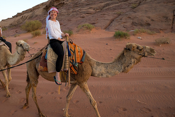 Camel Rides in Wadi Rum