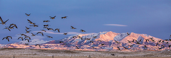 Crazy Mountains