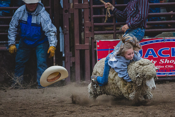 Miles City Bucking Horse Sale