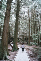 Trail of the Cedars, Glacier