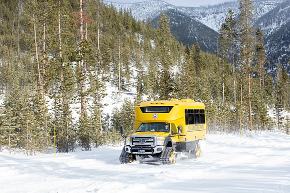 Yellowstone National Park winter tour