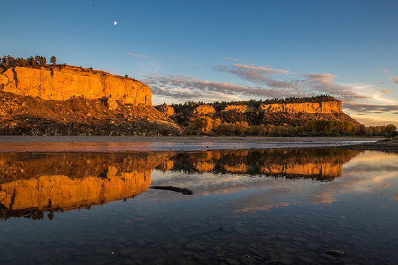 Billings