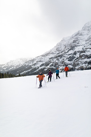 Snowshoeing in Yellowstone National Park near Cooke City