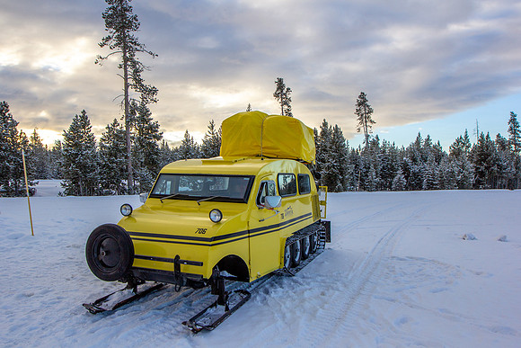 Yellowstone National Park winter tour