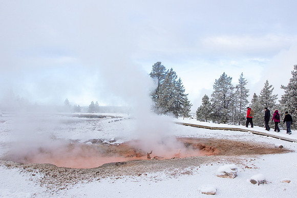 Fountain Paint Pots, Yellowstone National Park