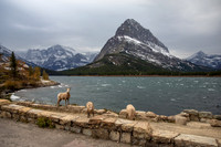 Many Glacier