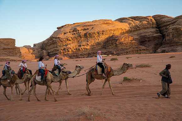 Camel Rides in Wadi Rum