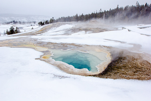 Upper Geyser Basin, Yellowstone National Park