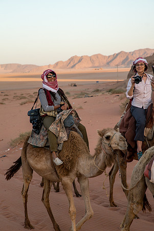 Camel Rides in Wadi Rum