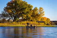 Bighorn River