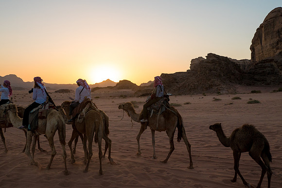 Camel Rides in Wadi Rum