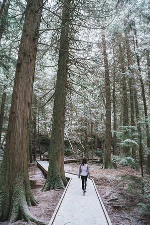 Trail of the Cedars, Glacier