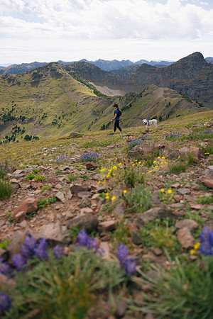 Blackmore Hike