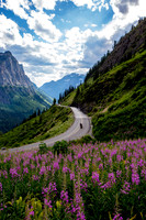 Going to the Sun Road