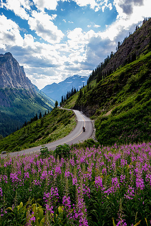 Going to the Sun Road