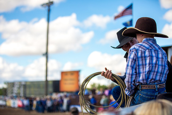 Miles City Bucking Horse Sale