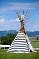 Metis Celebration